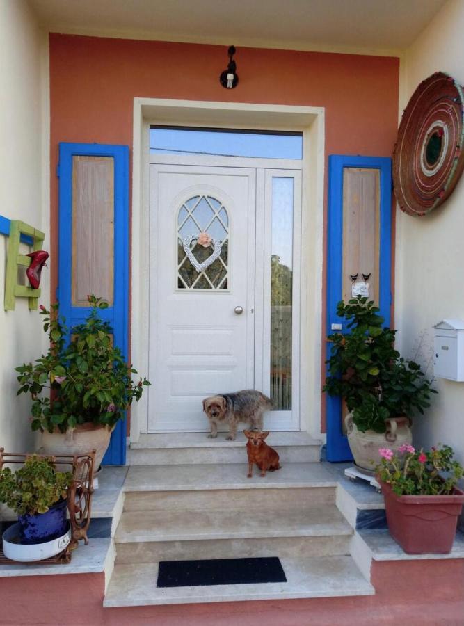 Bed and Breakfast Stanza Privata Casa Artistica Mariola San Sperate Zewnętrze zdjęcie